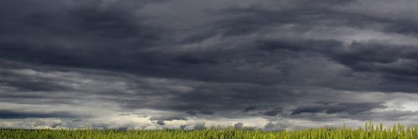 Mindful Everyday Moment: #82 The Peacefulness of a Thunderstorm